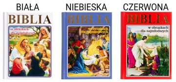 СУВЕНИЛЬ НА СВЯТОЕ КРЕЩЕНИЕ, БИБЛИЯ В КРАСИВОЙ КОРОБКЕ
