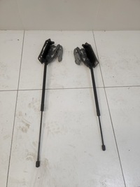 фото thumb №1, Петля петли капот правый левый kpl mercedes cls w218 218 lift