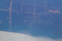 фото thumb №12, Двері правий перед ford mondeo mk4