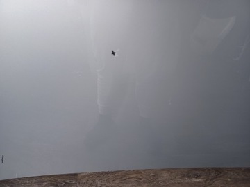 фото thumb №12, Капот ----- крышка двигателя ------ range rover v l460 vogue 2022-