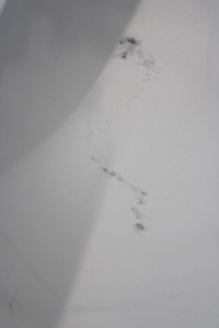 фото thumb №7, Kia picanto ii 11r- крила лівий перед передній 3d