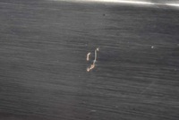 фото thumb №9, Двері ліва задня задні чорні honda hr-v 1 i 5d 98-01