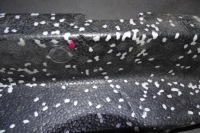 фото thumb №7, Bmw 1 f20 f21 lift m-pakiet абсорбер піна перед