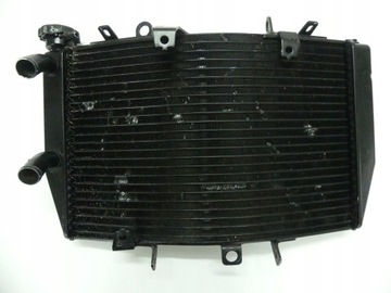 Полем Триумф скорость тройной 1050 11 + CH0 Cooler