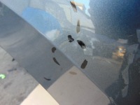 фото thumb №10, Двері правий задня vw tiguan 5na 5na833124a