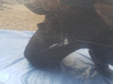 фото thumb №16, Дверь левый зад bmw x3 f25 475 чёрный sapphire