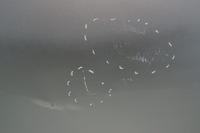 фото thumb №8, Двері правий перед chevrolet spark m300 iii