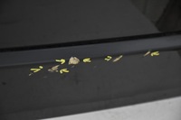 фото thumb №3, Кришка задня зад range rover iii l322 vogue