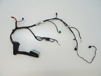 фото thumb №1, 2015-2023 charger джгут електропроводка двері правих передніх правий перед