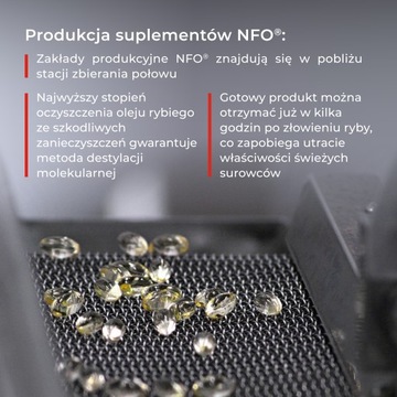NFO OMEGA 3 FORTE [60 капсул]