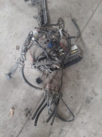 фото thumb №1, Електропроводка газова lpg na 4 cyl europegas vector 4