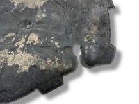 фото thumb №11, Audi a3 s3 8v 2016 изоляция термическая / шумоизоляция крышки / капота двигателя