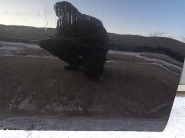 фото thumb №8, Двері fiat bravo 2 ii 2007-2014r. праві передні 891