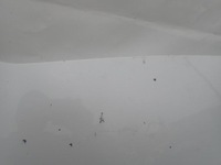 фото thumb №13, Volvo xc60 ii 2 17- капот кришка двигуна