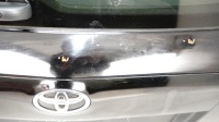 фото thumb №7, Кришка багажника зад toyota rav4 iii рестайлінг 09-12r
