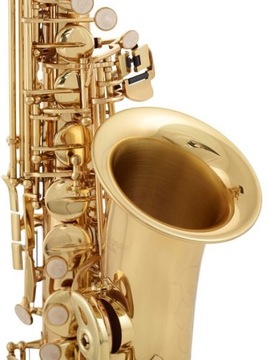 Альт-саксофон Startone SAS-75 | 24 часа