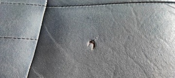 фото thumb №13, Салон сиденья кожа chevrolet corvette c5 1997-04