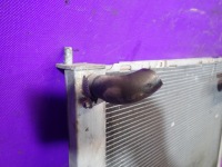 Nissan micra k12 02-07 1.2 80km радіатор води 68747 Зі Шроту, фото thumb