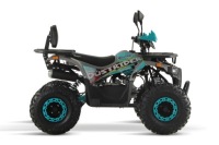 Полуавтоматический дизельный квадроцикл Dustrider 125 cc Wheels 8 зеленый
