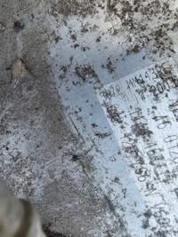 фото thumb №7, Vw seat skoda audi колектор всмоктуючий 04l129766n