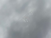 фото thumb №6, Audi q3 8u дверь ly9b задние правое задняя правый