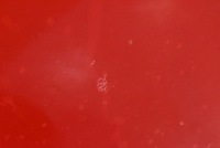 фото thumb №8, Капот крышка двигателя czerwona hyundai i30 1 i fd 07-10