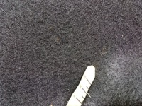 фото thumb №7, Ford puma mk2 обшивка обивка багажника левая l1tb-s45423