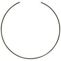 Купить Dana spicer кольцо защитный, фото thumb