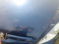 фото thumb №10, Peugeot 307 капот крышка двигателя eged