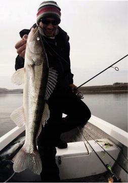 Savage Gear Cannibal PIKE РЕЗИНА 1x # 15см
