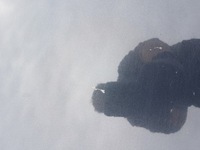 фото thumb №9, Citroen c5 iii дверь левый перед передние eypc