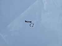 фото thumb №7, Капот крышка оригинал лак opel astra j iv рестайлинг 2012-2015 цвет y40r