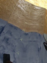 фото thumb №8, Kia rio iv v 17- дверь правый задняя задние