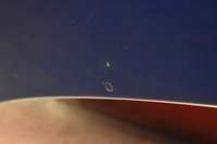 фото thumb №10, Капот крышка двигателя 8m6 toyota aygo 1 i 05-08