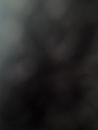 фото thumb №1, Крыло pusta pusta