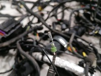 фото thumb №8, Ferrari roma f169 проводка loom rhd основний harness