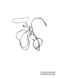 фото thumb №1, Жгут трубопровод ecas 2042552 daf xf 106