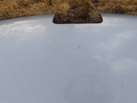 фото thumb №11, Peugeot 407 i капот eylc