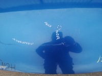 фото thumb №9, Капот кришка двигуна honda civic vii 7 hb оригінал