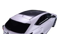 фото thumb №1, Lexus nx 2019 скло панорама люк дах панорамний solar
