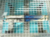 Купить Амортизатор задняя комплект левый  правый  mercedes 124, фото thumb