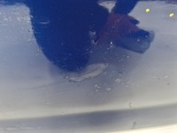 фото thumb №8, Дверь правое передние bmw x1 e84 381 .