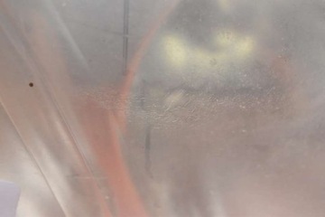 фото thumb №9, Фара правий лампа перед ксенон ксенон eu nissan maxima a33 00-05