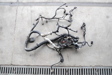 фото thumb №1, Джгут установка двигуна transit mk8 2.0tdci