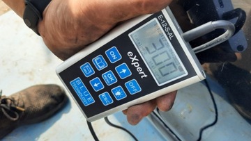 фото thumb №11, Дверь перед передние volvo s40 v40 00-04r