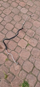 фото thumb №5, Шланг кондиціонера mitsubiski lancer x 2.0 did