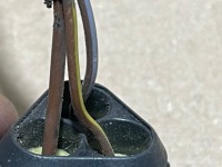 Vw audi колодка штекер 1j0973203 Оригинал, фото thumb