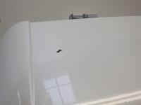 фото thumb №3, Крышка багажника задняя стекло renault megane iv hb