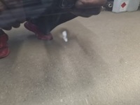 фото thumb №6, Двері праве z22c astra iv j gtc 3 двері повний