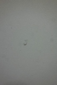 фото thumb №7, Стеля skoda octavia iii універсал 5e9867501n